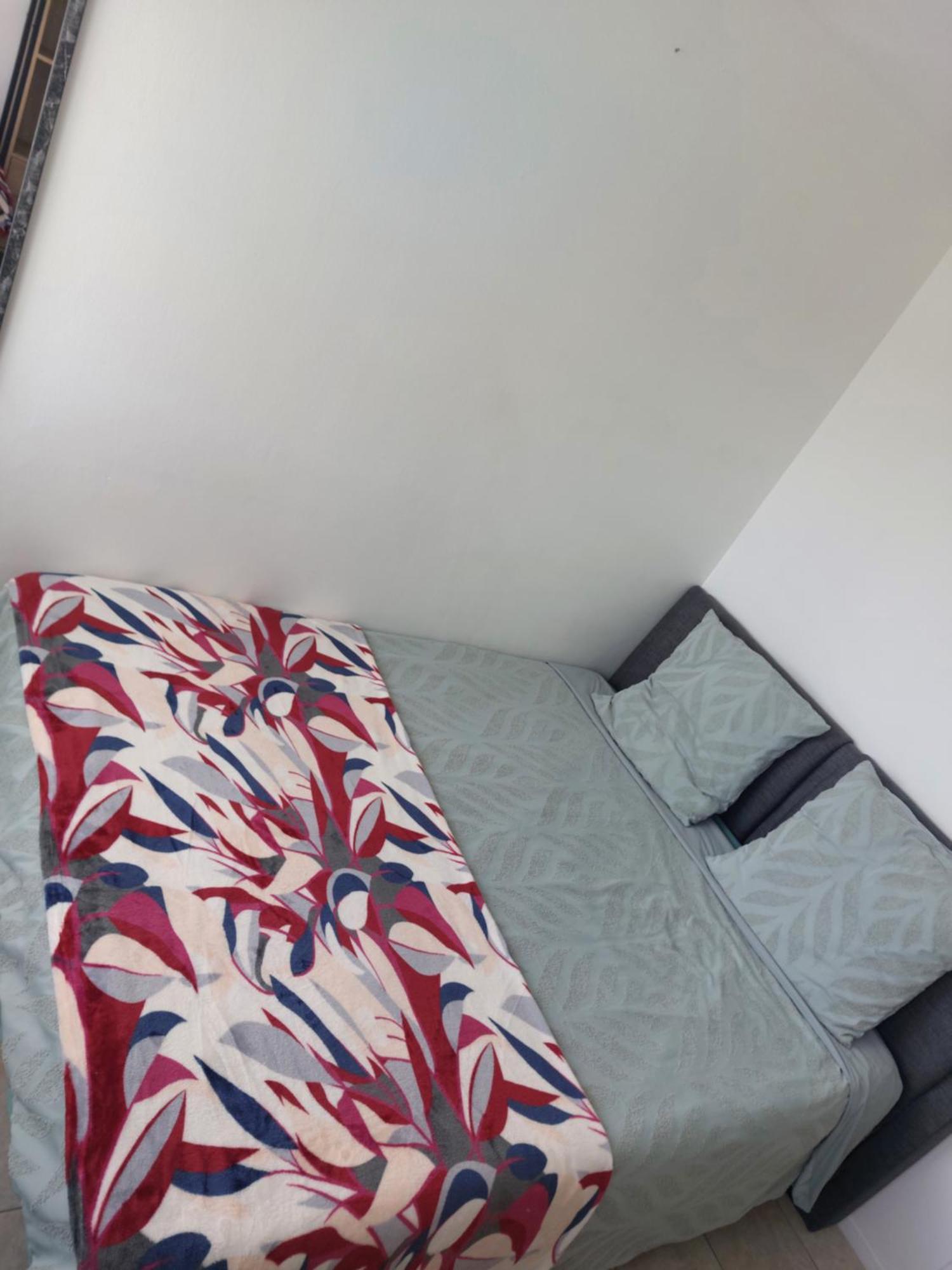 Appartement Au Duleing House Orleans Exterior photo